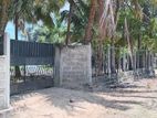 Land For Sale In Akkaraipattu Badur Nagar