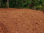 Land for Sale in Akmeemana, Galle