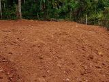 Land for Sale in Akmeemana, Galle