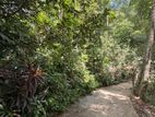 Land For Sale in Akurana