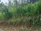 Land for sale in Akurana