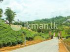 Land for Sale in Akurassa