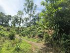 Land for Sale in Alawathugoda