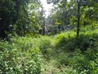 Land for Sale in Alawwa