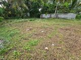 Land For Sale In Alubomulla, Panadura