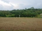 Land for Sale in Alutgama