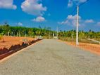 Land for Sale in අලුත්ගම