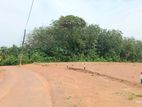 Land for Sale in Aluthgama (අලුත්ගම)