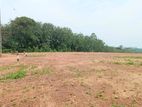 Land for Sale in Aluthgama - Beruvala