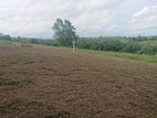 Land for Sale in Aluthgama