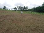 Land for Sale in Aluthgama