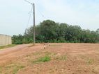 Land for Sale in Aluthgama