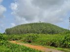 Land for Sale in Aluthgama