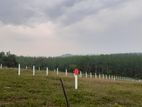 Land for Sale in Aluthgama