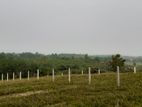 Land for Sale in Aluthgama