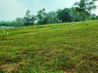 Land for Sale in Aluthgama