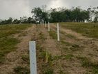 Land for Sale in Aluthgama