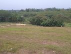 Land for Sale in Aluthgama