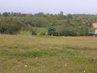 Land for Sale in Aluthgama
