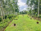 Land for Sale in Aluthgama