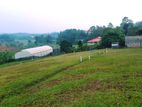Land for sale in Aluthgama