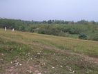 Land for sale in Aluthgama