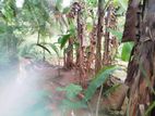 Land for Sale in Aluthgama