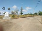Land for Sale in Aluthgama Kalawila