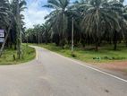 Land For Sale In Aluthgama Walagedara