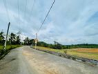 Land for sale in Aluthgama Welipanna