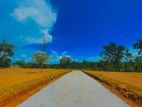 Land for sale in Aluthgama Yatadola main Road