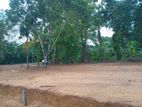 Land for sale in Aluthwala