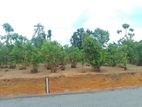 Land for Sale in Aluthwala