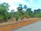 Land for Sale in Aluthwala