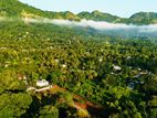 Land For Sale in Aluwihare Matale