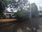 Land for Sale in Alwis Town