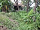 Land for Sale in Alwis Town Wattala