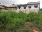 Land for Sale in Alwis Town Wattala,