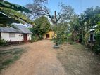 Land For Sale In Alwis Town Wattala