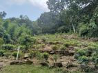 Land for Sale in Ambagala, Horana