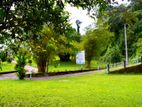 Land for Sale in Ambagala, Horana