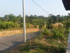 Land for sale in Ambalangoda