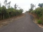 land for sale in Ambalangoda