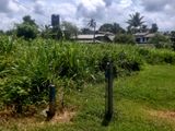 Land for Sale in Ambalangoda