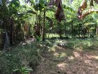 Land for Sale in Ambalangoda