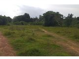 Land for Sale in Ambalangoda