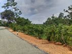 Land for Sale in Ambalangoda