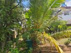 Land For Sale in Ambalangoda (SSPL-435)