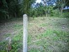 Land for Sale in Ambalanthota