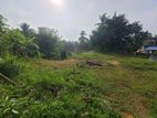 Land for Sale in Ambalanwattha Karapitiya